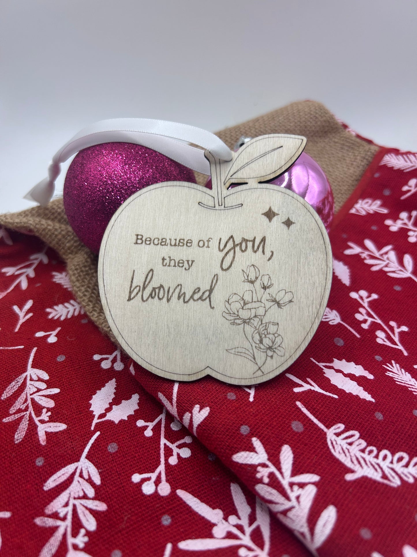 Teacher’s Christmas decorations- Customisable