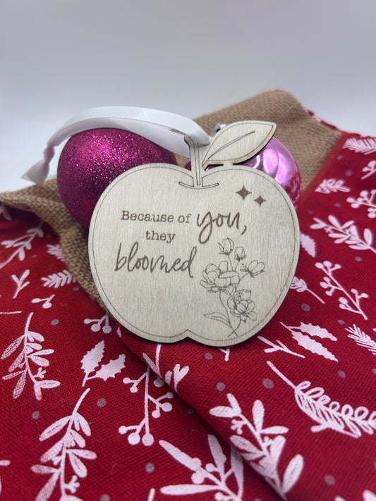 Teacher’s Christmas decorations- Customisable